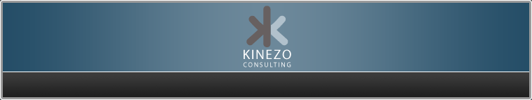 Kinezo Consulting